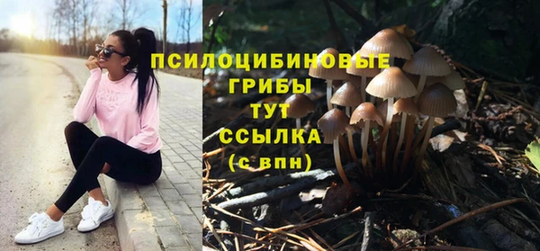 хмурый Богданович