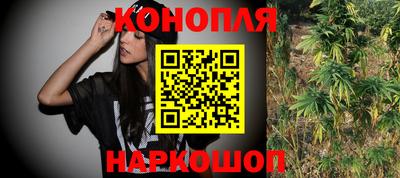 прущие грибы Ирбит