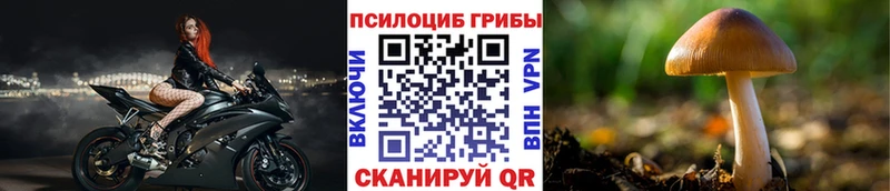 Псилоцибиновые грибы GOLDEN TEACHER гидра маркетплейс Надым цены