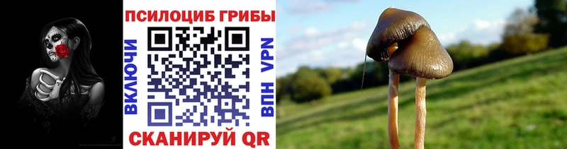 Галлюциногенные грибы GOLDEN TEACHER Надым