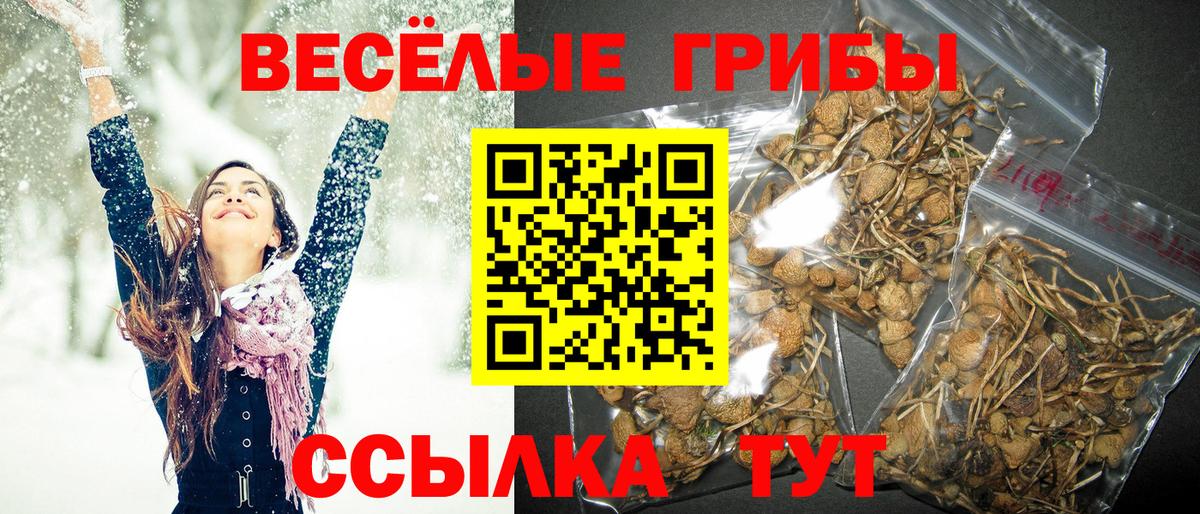 наркошоп  Вход с VPN  Надым  Галлюциногенные грибы ЛСД 