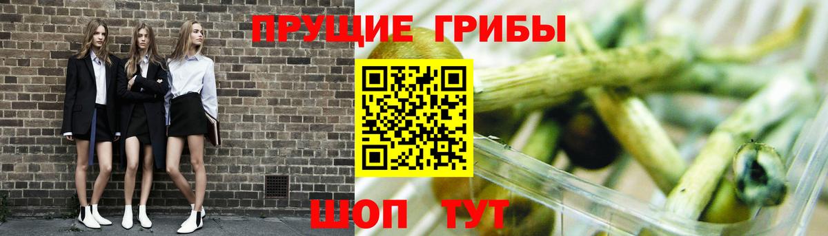 Псилоцибиновые грибы Cubensis Надым